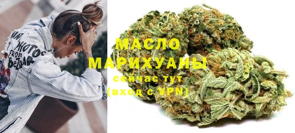 мдпв Вяземский